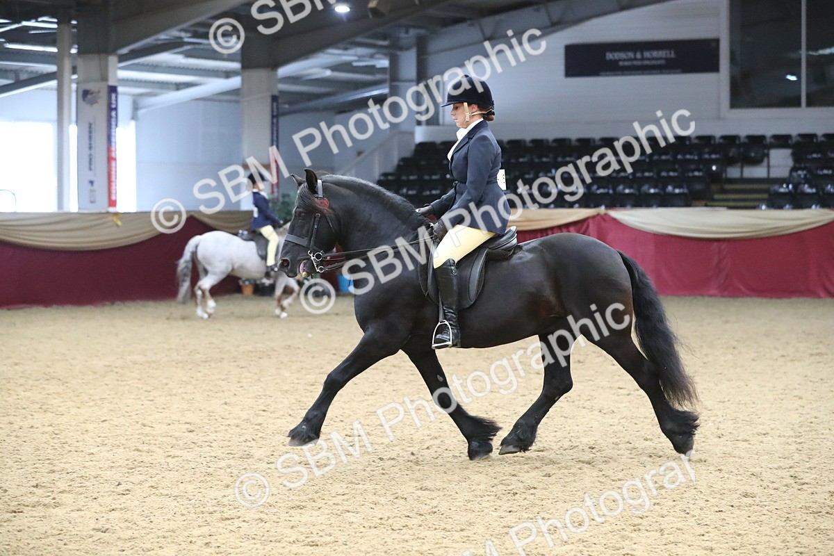 SBM_16362 - Class 502 M&M Ridden Supreme Final