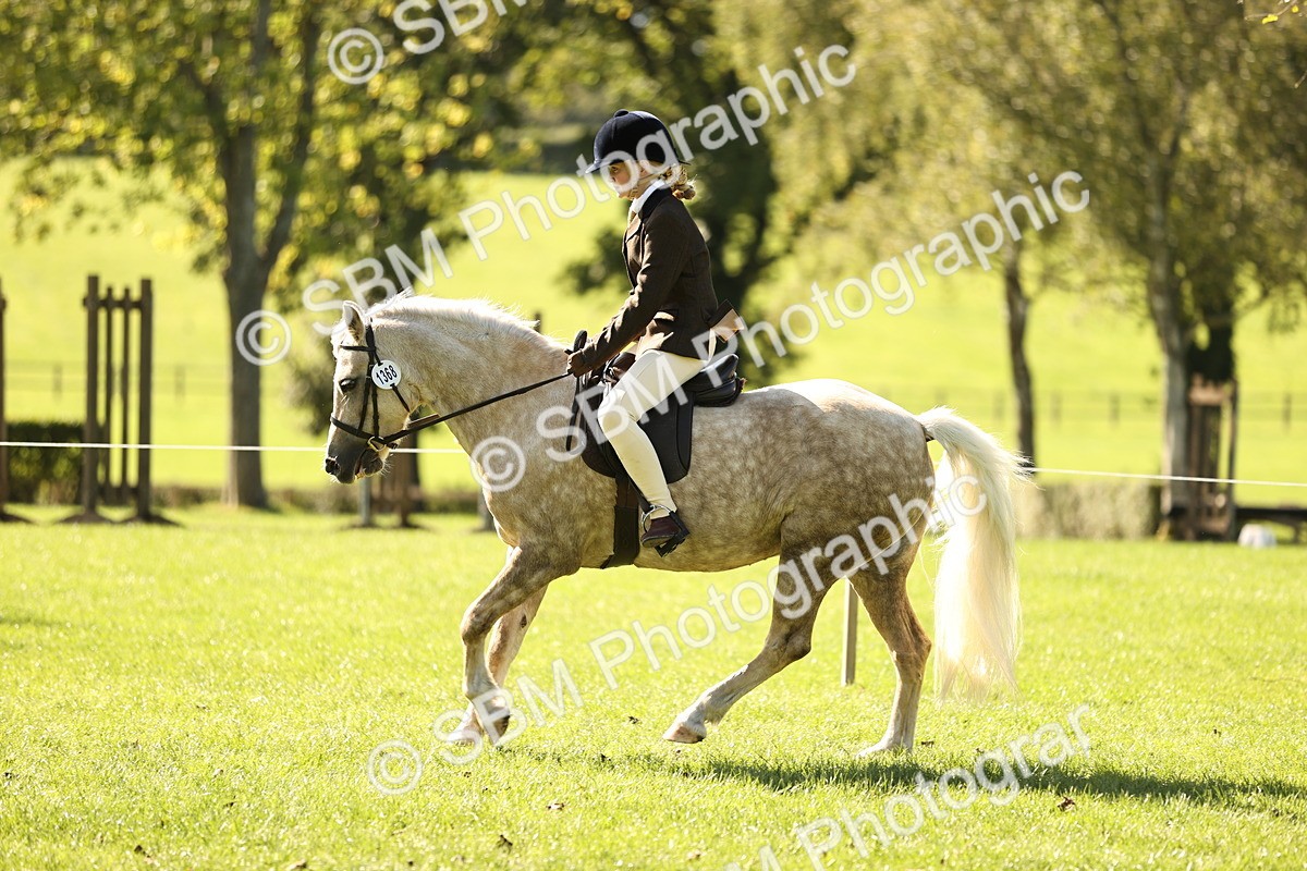 SBM_19134 - S3 - TSR Ridden Pony Showing