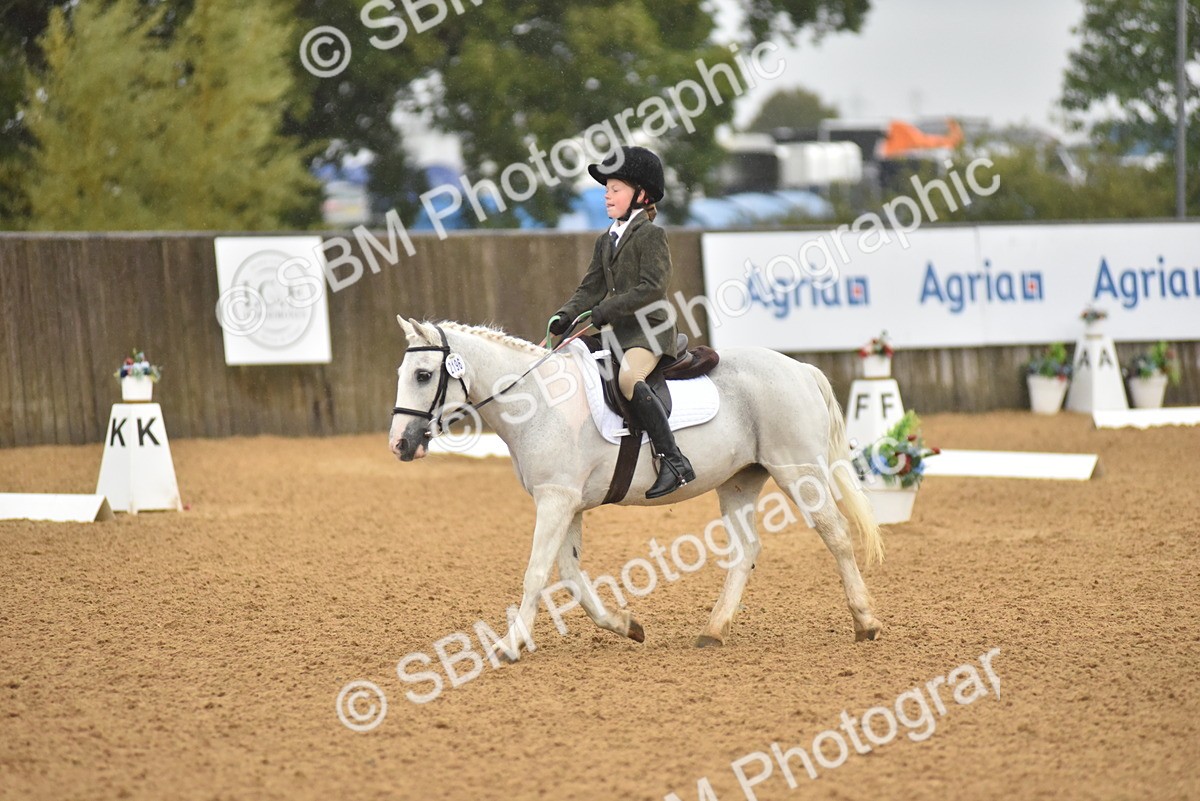 SBM_34736 - D26 & 27 Starter Test 1