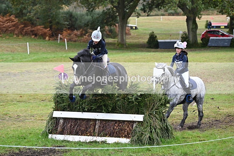 WJ6_3001 - 80cm Cam 1 Pairs Time 12:19 to 12:49