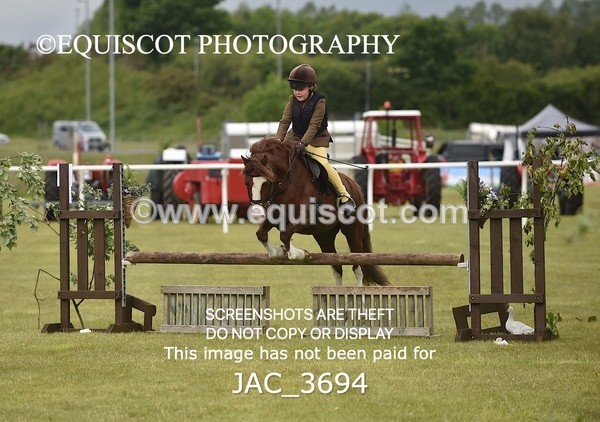 JAC_3694 - 75CM WORKING HUNTER