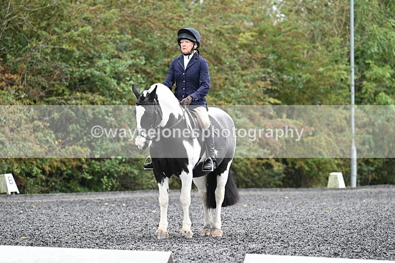 WJ7_3207 - Time 09:54 to 10:54