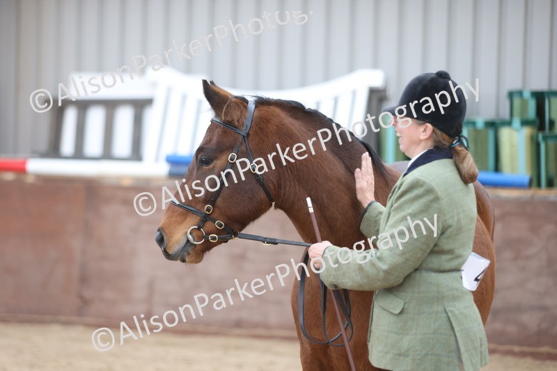 20251109-1082 - Class 29 - Geldings 4 Years and over