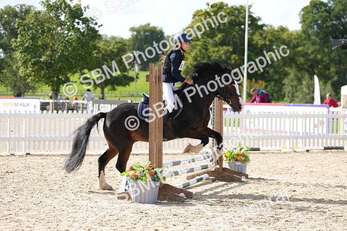 SBM_17796 - J58 - Clear Round 50cm