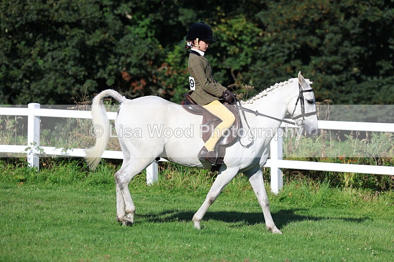 3E7A7545 - Class 1: Novice Working Hunter Pony