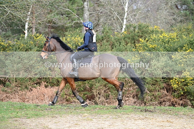 WJ7_8162 - Time 11:09 to 11:38