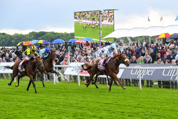 190523-Race 4-Giavellotto-0591 - Race 4 3.35pm Boodles Yorkshire Cup Stakes