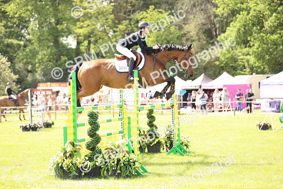 SBM_03117 - Class 201 - British Horse Feedds Speedi Beet HOYS Grade C