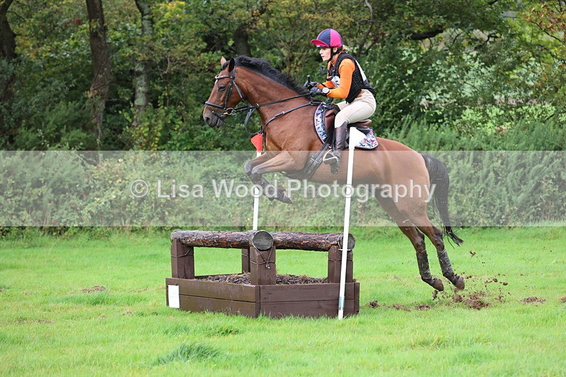 JPP_5466 - Class 5: 90cm Crossed Logs