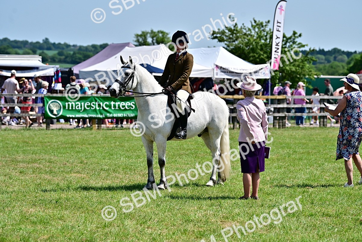 SBM_15378 - Class 95-97 - BSPS LHS Performance Ponies
