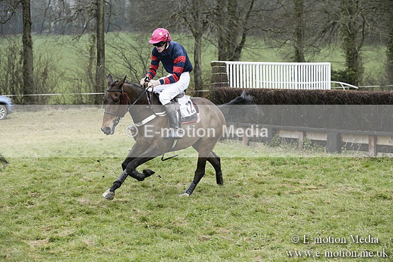 PtP 020418 -145 - Old Berks Point-to-Point Races Easter Monday 02/04/18