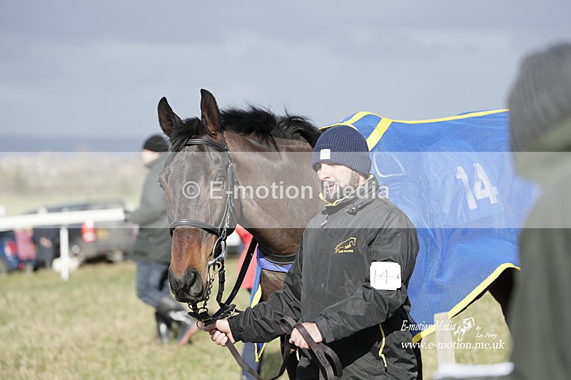 PtP 250223 0357 - Kimblewick Hunt Point-to-Point Kingston Blount 25/02/23