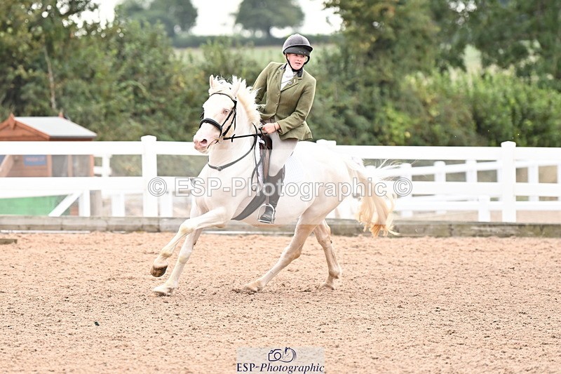 250820B-105450-00242 - Clear Round and Cls 1 British Novice and 90cm Open
