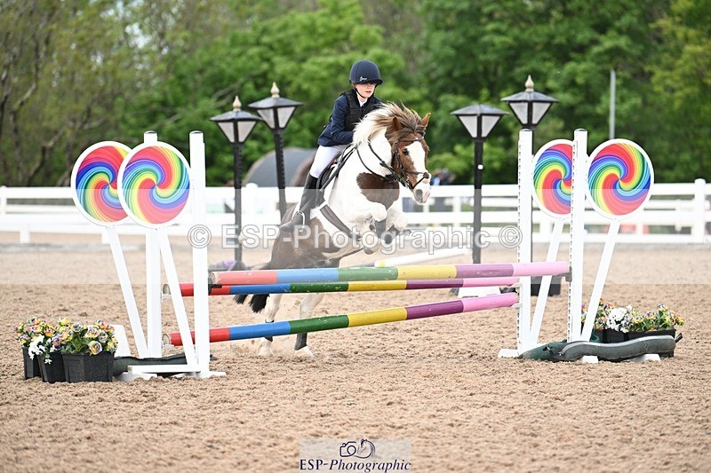 250504-141209-03509 - Cls 23 Stepping Stones