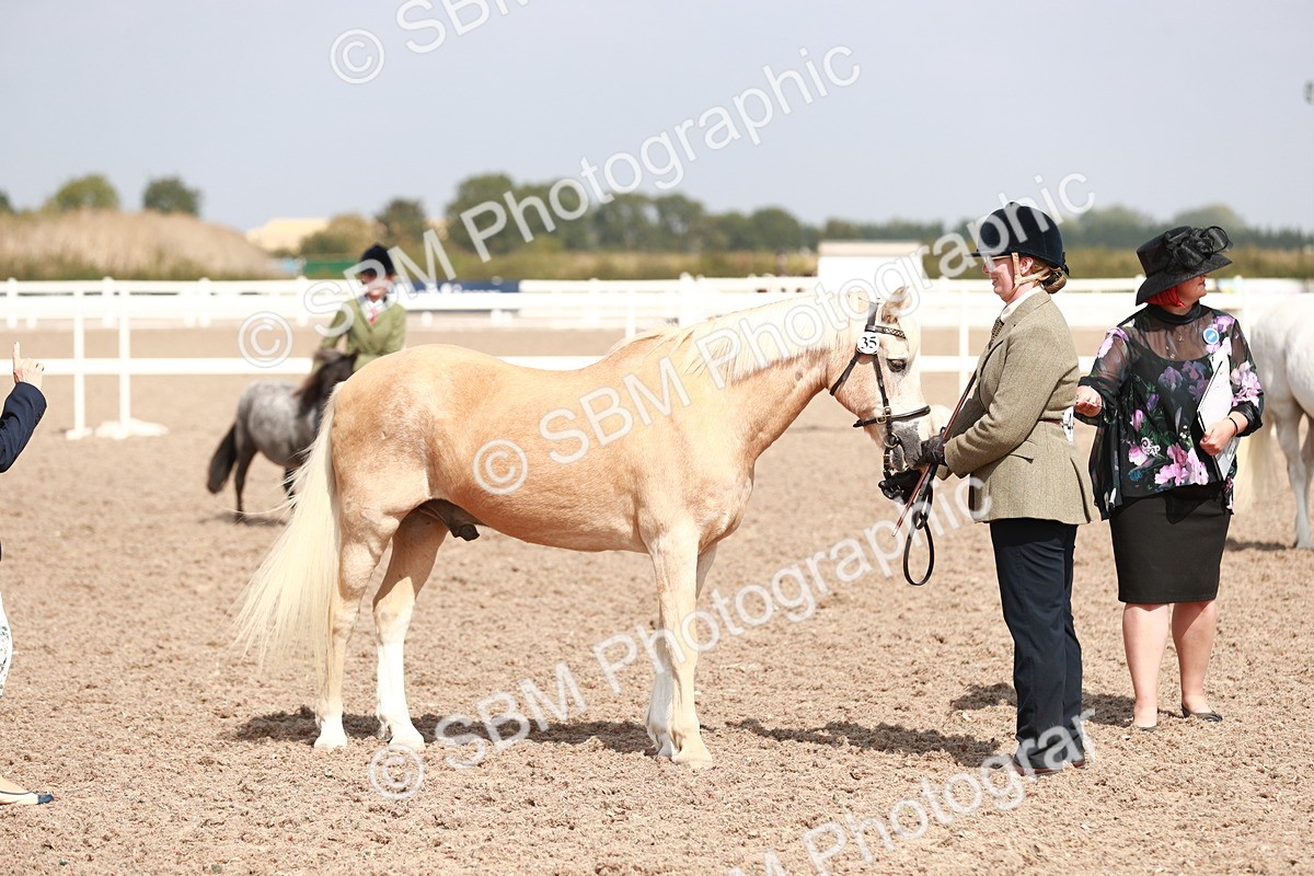 SBM_13908 - Class 209 IH Veteran Pony