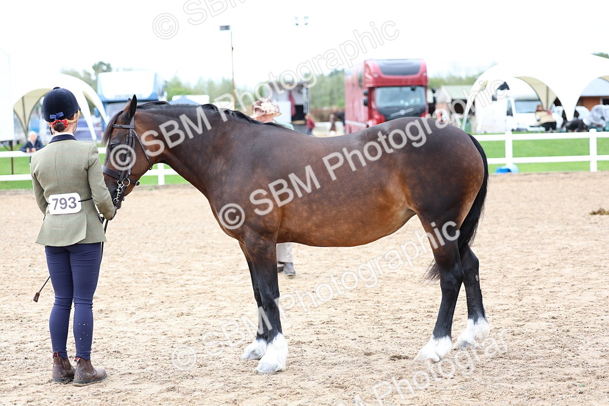 SBM_01296 - Class 16 - IH M&M Wildcard
