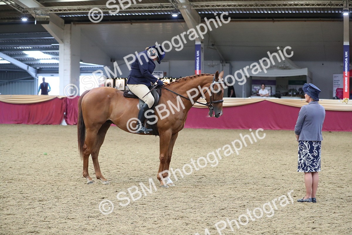 SBM_12363 - Class 108 Ridden Retired Racehorse- Pre Judging
