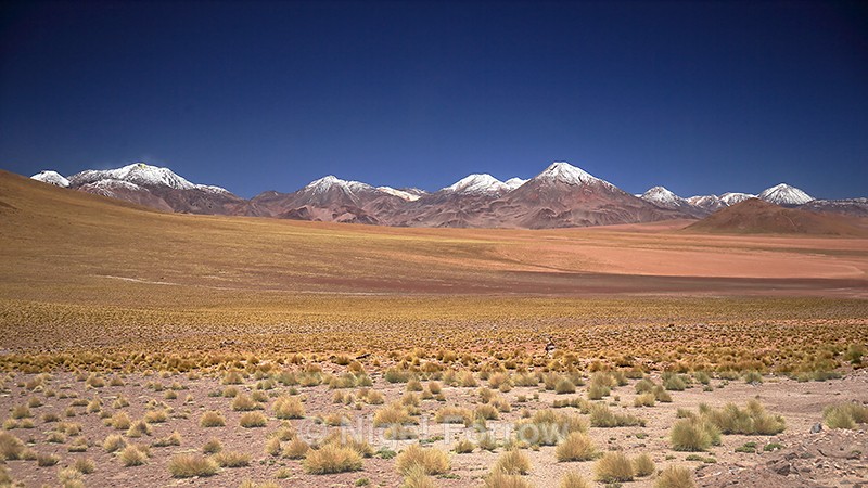 Chain of Volcanoes on the Chile-Bolivia border - Chile
