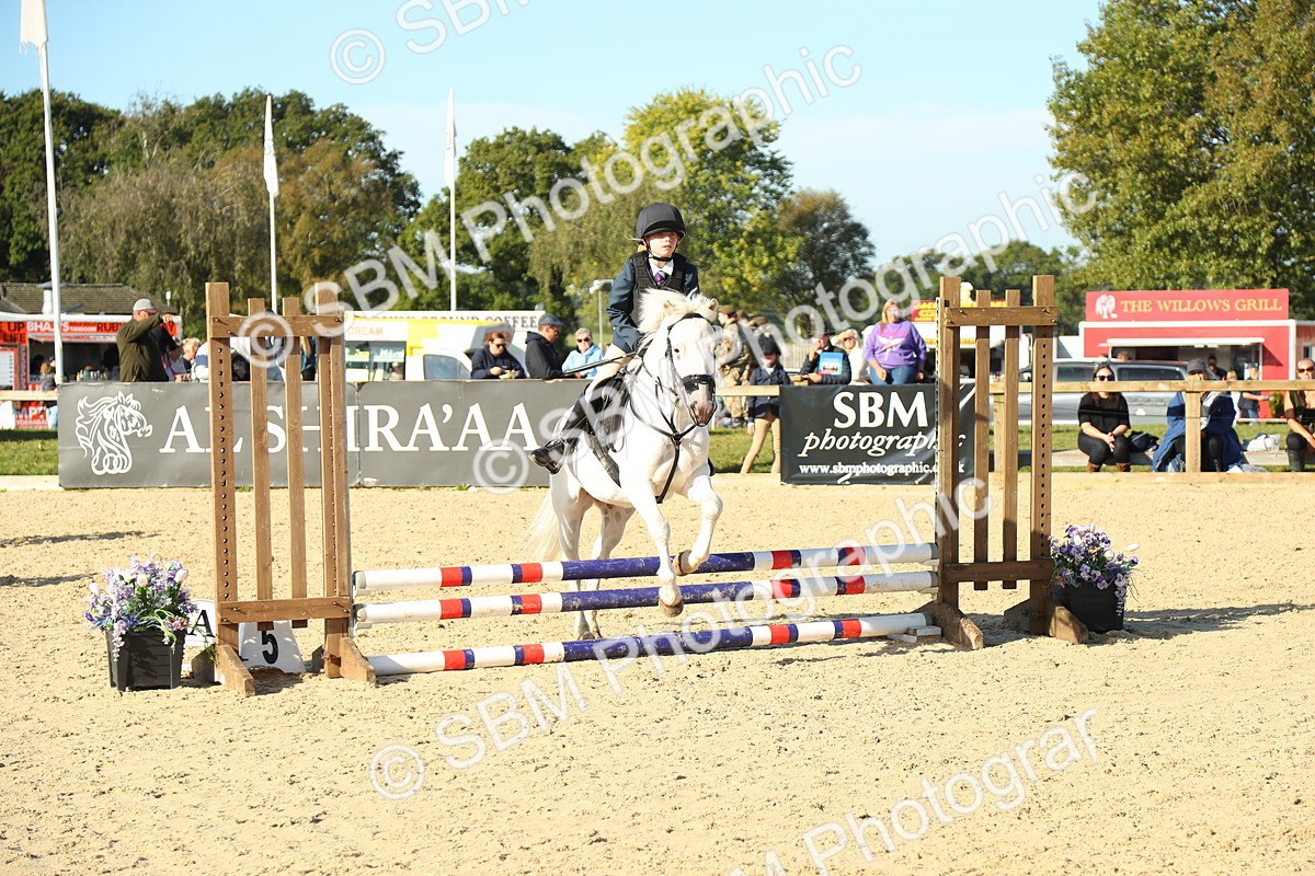 SBM_35837 - J5 - Junior Pony 50cm Championship