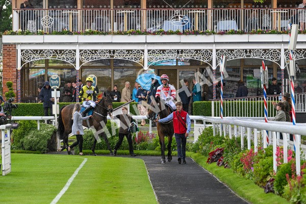 150624-H-Macmillan Ride Of Their Lives-6363 - 12.30pm Macmillan Ride of Their Lives