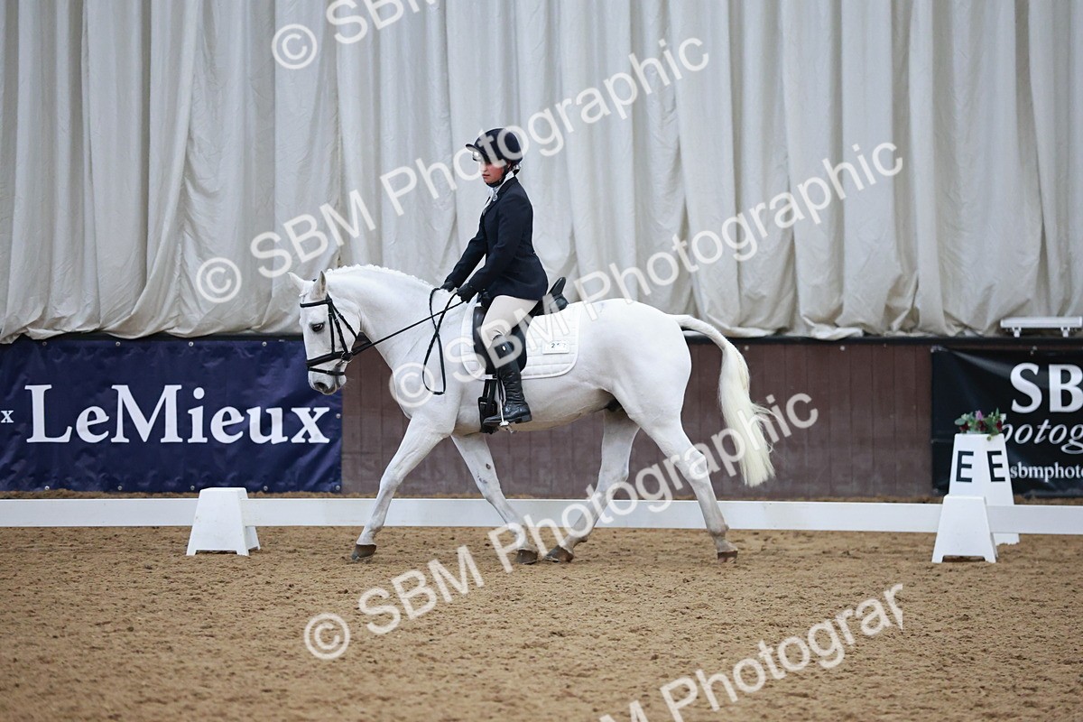 SBM_004496 - Ring 3 - International -  Working Hunter Classes 23-2-25