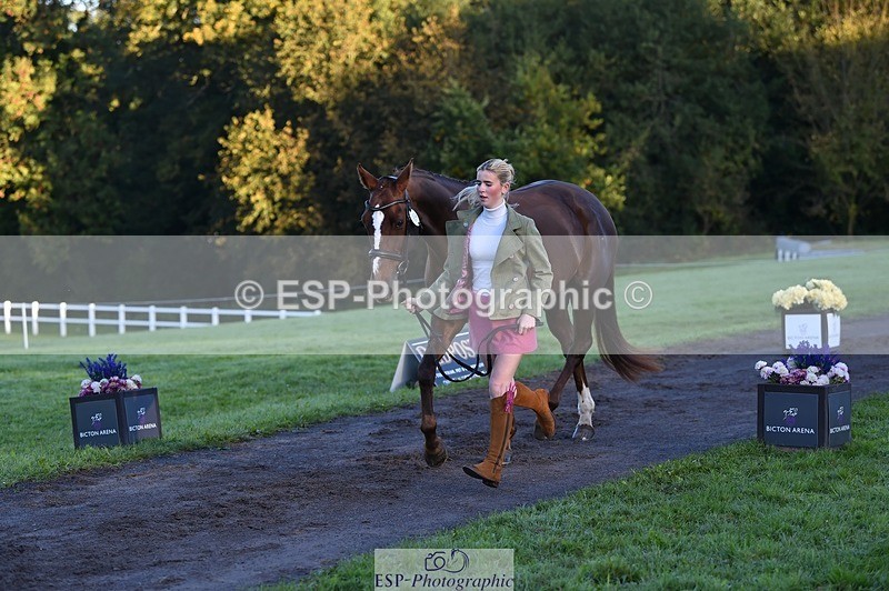 231022-085218-21413 - 654-BERNARD.BLACK-Darci.Barron-TrotUp+SJ