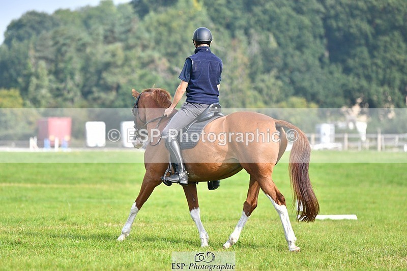 230817-093555-02605 - Abbie's 1st Group - Dressage