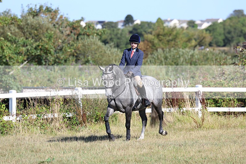 3E7A5465 - Class 3: Working Hunter 70cm