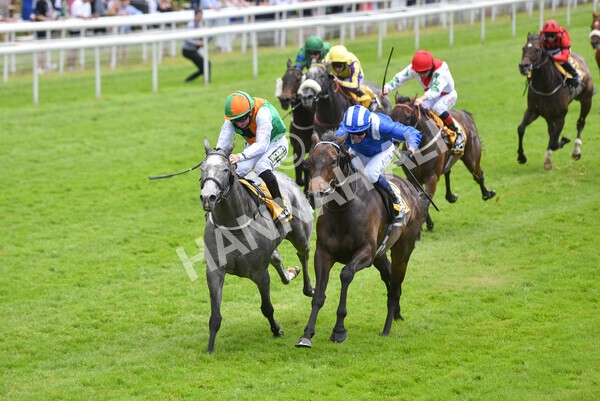 yr12062021r2-30 - Race 2 2.35pm The JCB Stakes