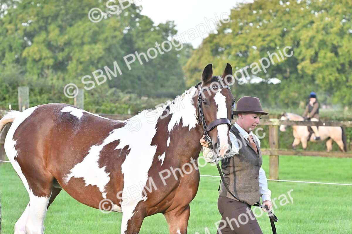 SBM_32561 - S15 - Top Turnout In Hand