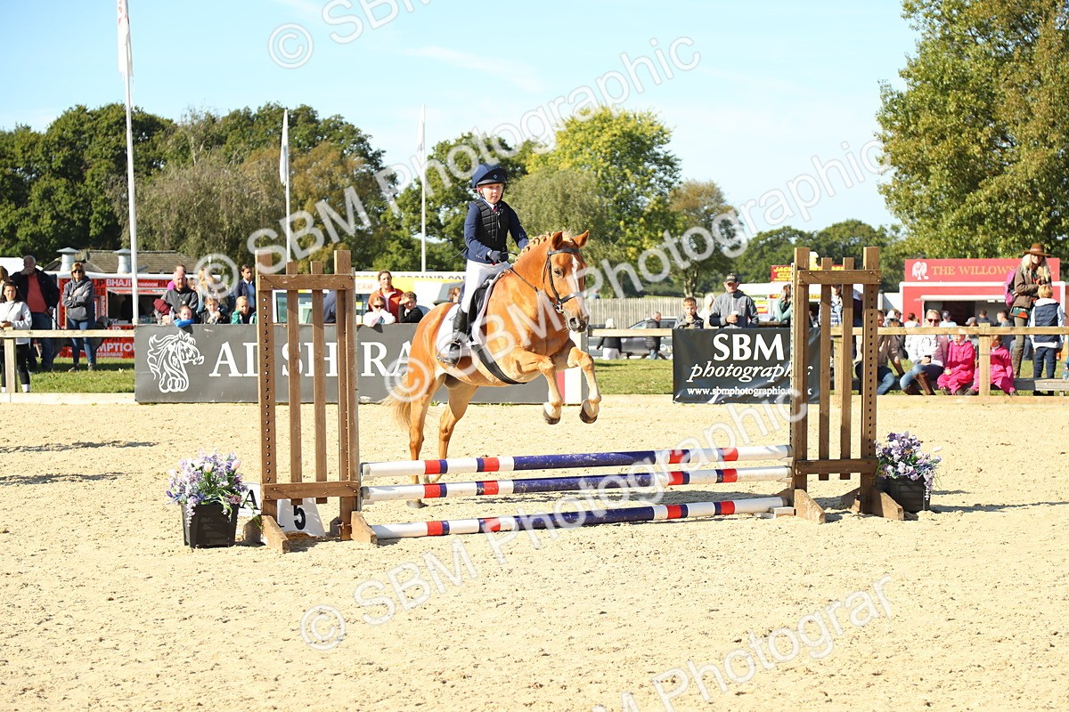 SBM_36004 - J5 - Junior Pony 50cm Championship