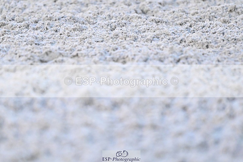 231105-164559-04111 - Cls 4 Novice 24 16.41 to End