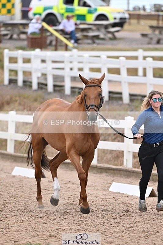 250716-141107-00955 - Trot Up 1.30 to 2.30