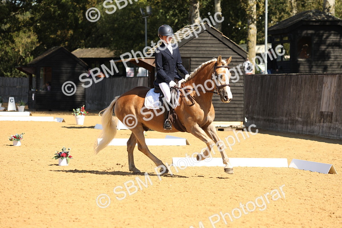 SBM_19752 - D10 - Small Tour Championship - Prelim 2