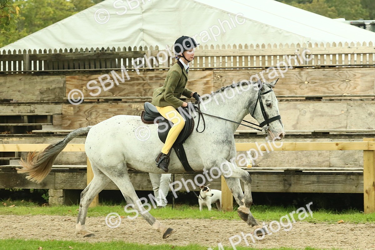 SBM_74071 - S 61 - Show Pony & Show Hunter Pony Ridden