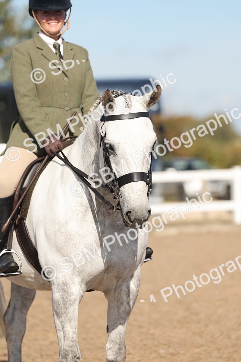 SBM_12360 - Class 304 - Ridden part Bred Horse Pony