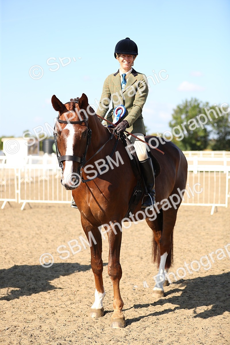 SBM_02377 - Class 43 Ridden Competition Horse/Pony