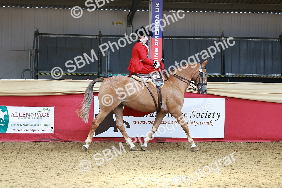 SBM_13868 - Class 106 - Ridden Costume - Side Saddle