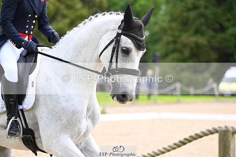 240524-102016-08065 - 416-CRISTAL_FONTAINE-Kitty_King