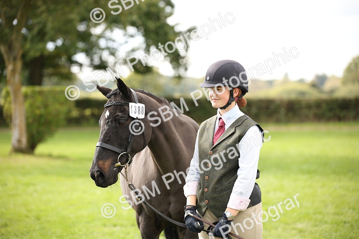 SBM_46374 - S25 - Mature Veteran In Hand
