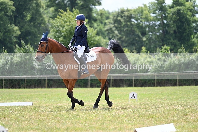 WJ7_5532 - Time 11:52 to 12:10