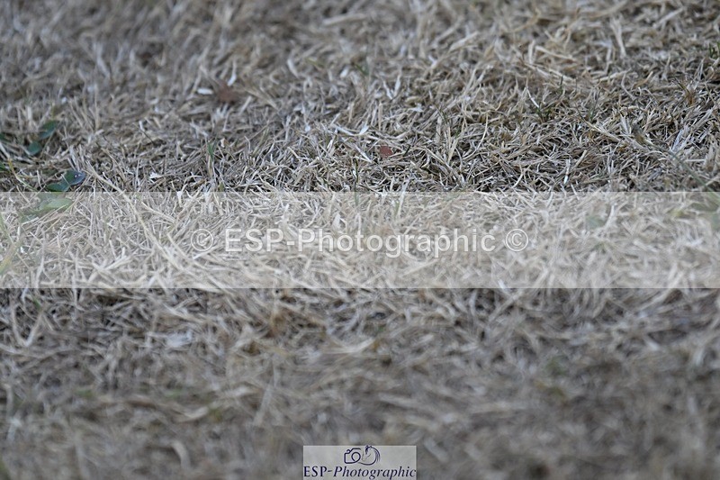 250823A-190538-34711 - All Sat Presentations