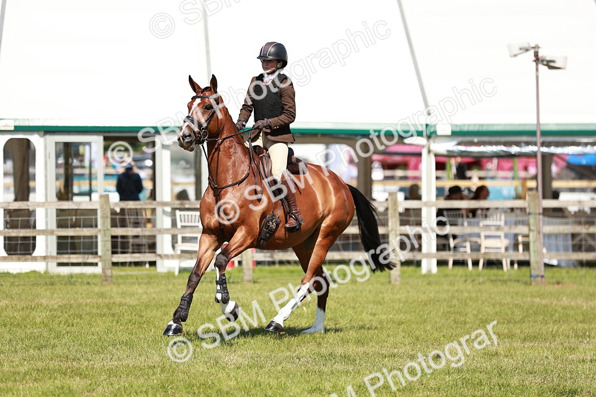 SBM_18325 - Class 112-113 - BSPS LIHS Working Sports Pony