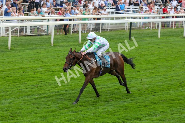 100923-Race 3-Yorkindness-3861 - Race 3 2.45pm Fine Details Vehicle Valeting Handicap