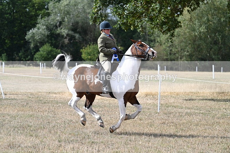 WJ7_7506 - Class 14 Ridden Coloured