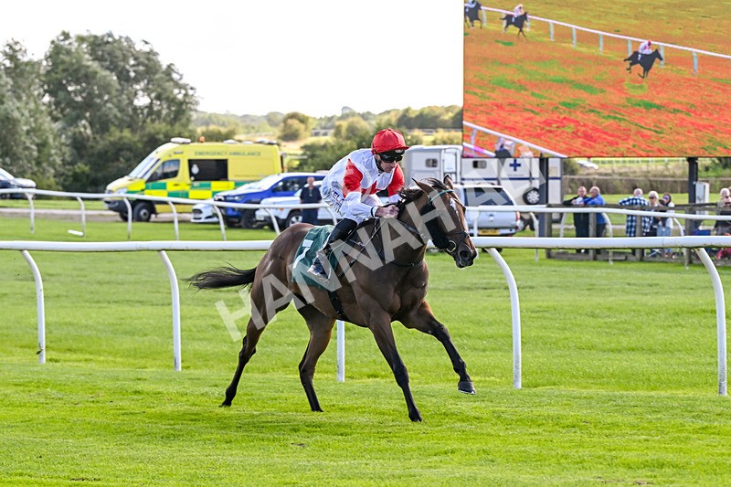 080926-Race 2-Queen Sana-1897 - Race 2 2.28pm Racing TV Club Day Restricted Maiden Stakes