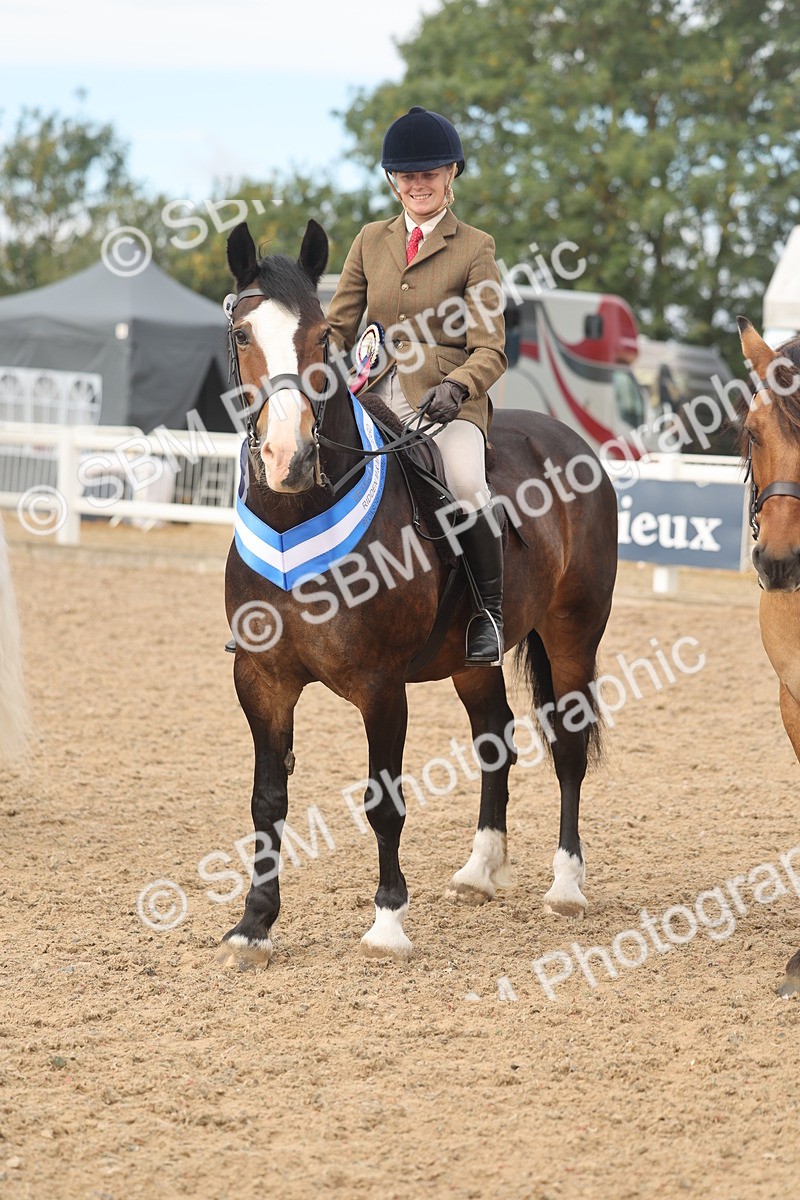 SBM_02022 - Class 14 - Ridden M&M Wildcard