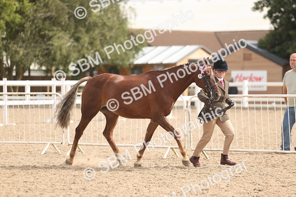 SBM_04912 - Class 20 - IH Veteran