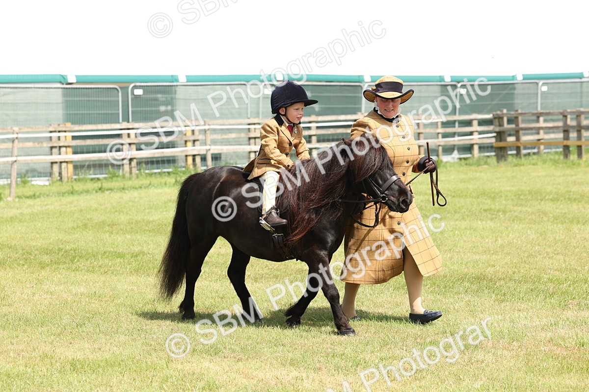 SBM_05236 - Class 24-25 - Mountain & Moorland In Hand Lead Rein and First Ridden