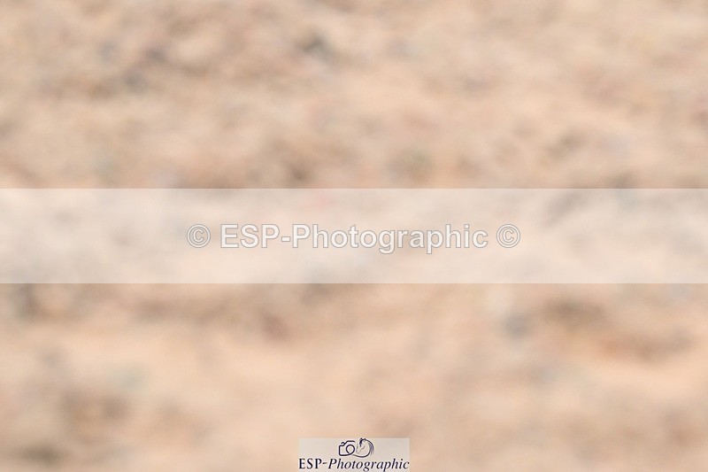 250621-141749-11449 - Cls 30 - Elementary 6